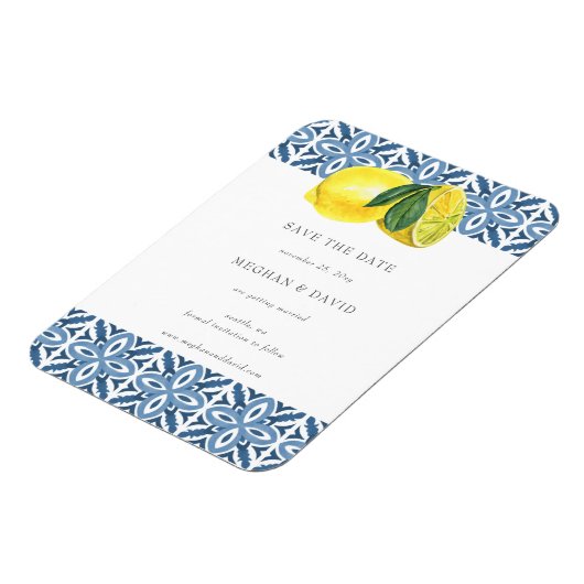 Siciliaanse blauwleeuwen in de Middellandse Zee sp Magneet (Linkerzijde)