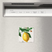 Siciliaanse citroen magneet (Insitu (Vaatwasser))