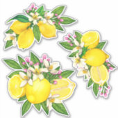 Siciliaanse mediterrane Sticker Lemon Citrus Flora (Voorkant)