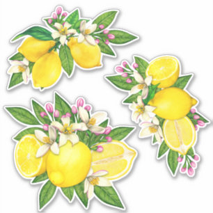 Siciliaanse mediterrane Sticker Lemon Citrus Flora