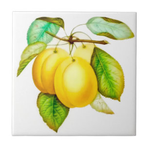 Siciliaanse stijl, Summer Art Fruit Yellow Plums Tegeltje
