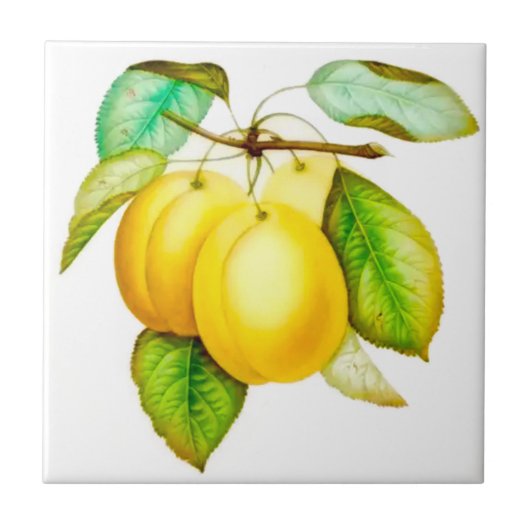 Siciliaanse stijl, Summer Art Fruit Yellow Plums Tegeltje (Voorkant)