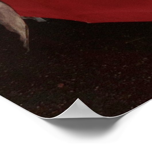 Siciliaanse zwaardman poster (Hoek)