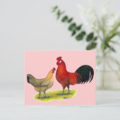 Sicilian Buttercup kippen Briefkaart (Staand voorkant)