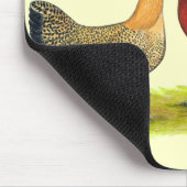 Sicilian Buttercup kippen Muismat (Hoek)