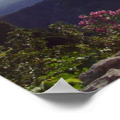 Sicilian Sun Rays Poster (Hoek)