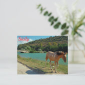 Sicilië Briefkaart (Staand voorkant)