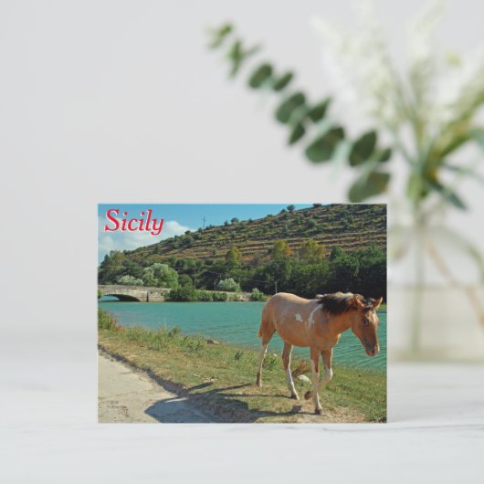 Sicilië Briefkaart (Staand voorkant)