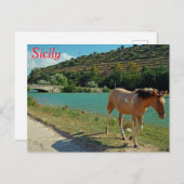 Sicilië Briefkaart (Voorkant / Achterkant)