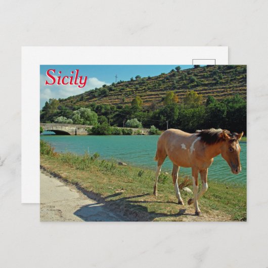 Sicilië Briefkaart (Voorkant / Achterkant)