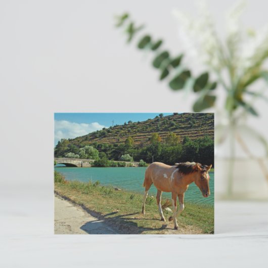 Sicilië Briefkaart (Staand voorkant)