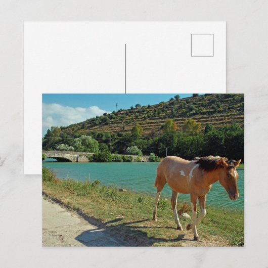 Sicilië Briefkaart (Voorkant / Achterkant)