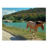 Sicilië Foto Afdruk (Voorkant)