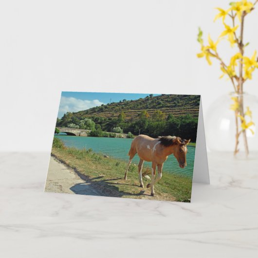 Sicilië Kaart (Gele Bloem)