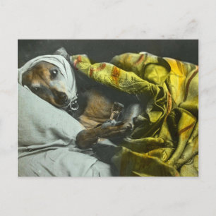 Sick as a Dog Get Snel  Magic Lantern Briefkaart