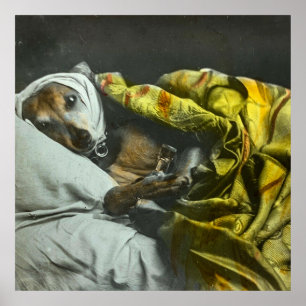 Sick as a Dog  Magic Lantern Slide Poster