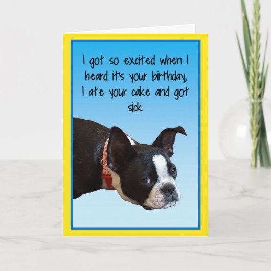 Sick Birthday Boston Kaart (Voorkant)