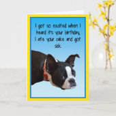 Sick Birthday Boston Kaart (Gele Bloem)