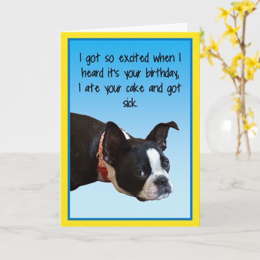 Sick Birthday Boston Kaart (Gele Bloem)