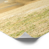 Sick Obsessie Poster (Hoek)