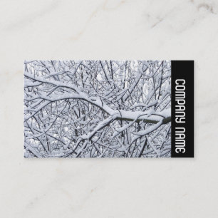 Side Band - Besneeuwde Takken Visitekaartje