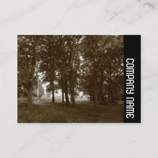 Side Band - Bossen, Bute Park Cardiff - Sepia tone Visitekaartje (Voorkant)