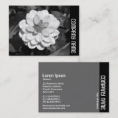 Side Band - Dahlia 'David Howard' Visitekaartje (Voorkant / Achterkant)