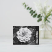 Side Band - Dahlia 'David Howard' Visitekaartje (Staand voorkant)