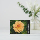 Side Band - Dahlia 'David Howard' Visitekaartje (Staand voorkant)