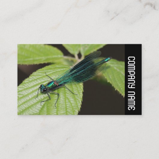 Side Band - Dragonfly Visitekaartje (Voorkant)
