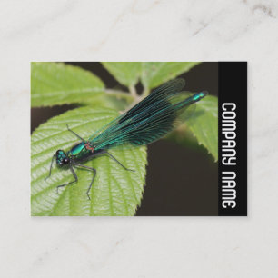 Side Band - Dragonfly Visitekaartje