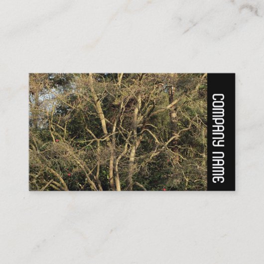 Side Band - Golden Branches Visitekaartje (Voorkant)
