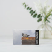 Side Band - Good Morning Pigeon Visitekaartje (Staand voorkant)