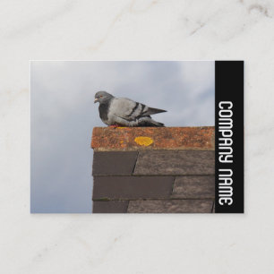 Side Band - Good Morning Pigeon Visitekaartje