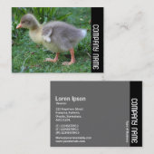 Side Band - Gosling 02 Visitekaartje (Voorkant / Achterkant)
