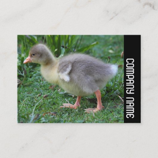 Side Band - Gosling 02 Visitekaartje (Voorkant)