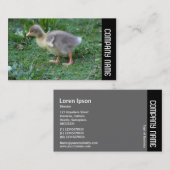 Side Band - Gosling 02 Visitekaartje (Voorkant / Achterkant)