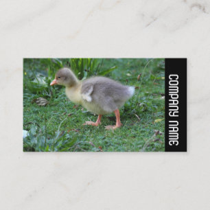 Side Band - Gosling 02 Visitekaartje