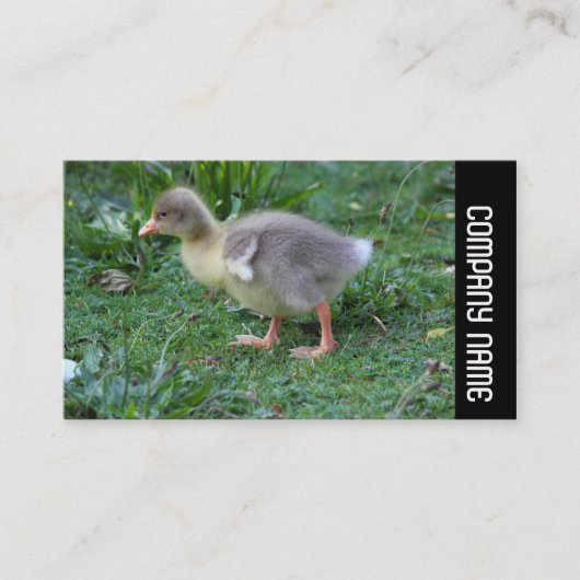 Side Band - Gosling 02 Visitekaartje (Voorkant)