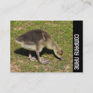 Side Band - Gosling Visitekaartje