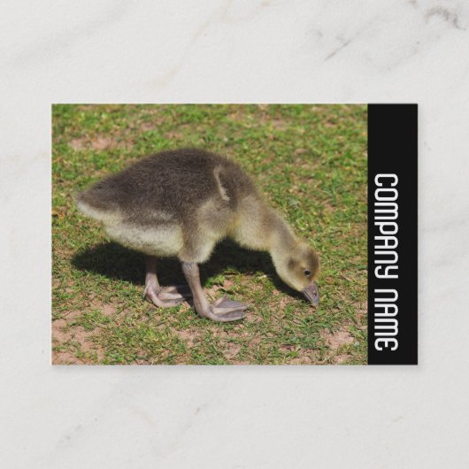 Side Band - Gosling Visitekaartje (Voorkant)