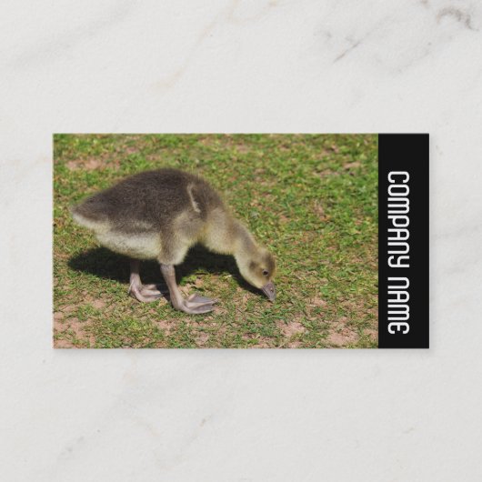 Side Band - Gosling Visitekaartje (Voorkant)