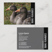 Side Band - Greylag Gese Visitekaartje (Voorkant / Achterkant)