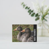 Side Band - Greylag Gese Visitekaartje (Staand voorkant)