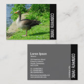 Side Band - Greylag Goose Visitekaartje (Voorkant / Achterkant)