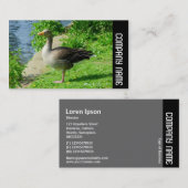 Side Band - Greylag Goose Visitekaartje (Voorkant / Achterkant)
