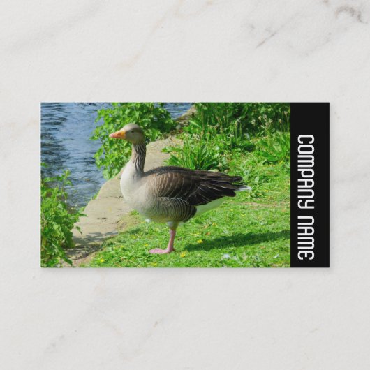 Side Band - Greylag Goose Visitekaartje (Voorkant)