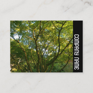 Side Band - Japanse Takken 06 Visitekaartje