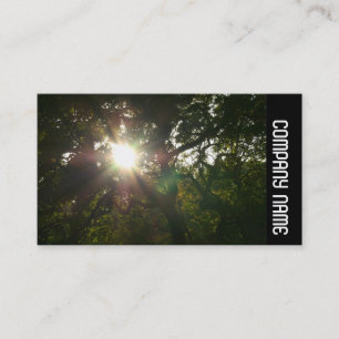 Side Band - Japanse Takken 07 Visitekaartje