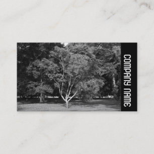 Side Band - Magnolia Boom BW Visitekaartje